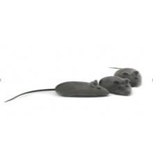 ЧК СТ12048 Игрушка для кошек «Мышь» серая 5см